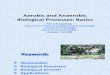 Aerobic and Anaerobic Biological Processes Basics