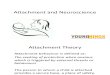 Attachment and Neuroscience