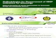01. All Bioenergy Proposed Methodologies GBEP ForMay8 2012
