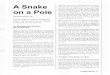 2002 Issue 2 - A Snake on a Pole - Counsel of Chalcedon