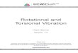 Rotational and Torsional Vibration Manual v1.0