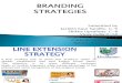 Hul branding strategies