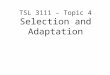 Topic 4-Selection and Adaptation