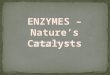Enzymes (Chemistry A level Application)