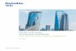 2013 Deloitte CSG China Real Estate Investment Handbook 250713