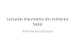Leziunile Traumatice Din Teritoriul Facial Fara Poze (1)