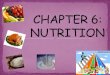Nutrition (2)