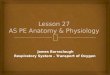 As PE Lesson 27 Resp Syst 2013-14