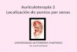 Auriculoterapia 2
