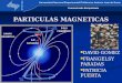 PARTICULAS MAGNETICAS