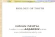 Biology of Tooth Movement-Ortho / orthodontic courses by Indian dental academy