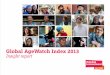 Global AgeWatch Index 2013 Report