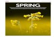 Guide to Spring Photography by Digital SLR Magazine