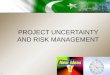 Project Uncertainty and Risk Management