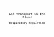 Gas Transport and Respiratory Regulation 2013