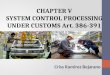 Control Processing Under Customs