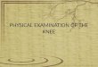 Physical Examination of the Knee