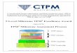 5 Level Milestone TPM3 Excellence Award