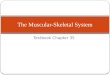 2. The Muscular-Skeletal System