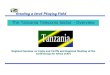 Tanzania telecom overview