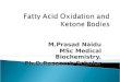 Fatty Acid Oxidation & Ketone Bodies
