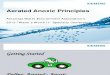 Aerated Anoxic Principles