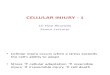 Cellular Injury PDF