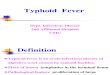 Typoid Fever伤寒