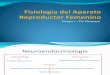 2.Fisiología del Aparato Reproductor Femeninoy ciclo mestrual (1)
