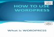 Ellen_Britanico_How to Use WordPress