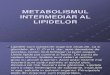 Metabolismul Intermediar Al Lipidelor