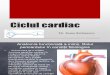 Fiziologie - ciclul cardiac