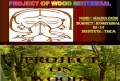 Shazia Wood Project789
