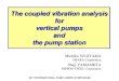 Coupled vibration analysis for pump