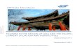 Tourism in Asia Pacific.pdf
