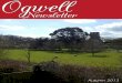 Ogwell Parish Newsletter (Autumn 2013)