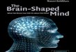 The Brain-Shaped Mind - What the Brain Can Tell Us About the Mind