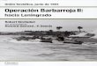 07.- Operación Barbarroja II hacia Leningrado - Rusia, junio de 1941