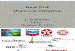 New York Shale Gas Potential - An Industry Overview - Lou Allstadt