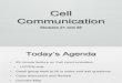 cell communication.ppt