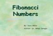 21121058 Fibonacci Numbers