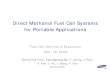 Direct Methanol Fuel Cell Systems for Portable Applications (Samsung)