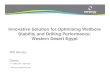 Innovation Solution for Optimising Drilling Performance and Wellbore Satbility - Western Desert, Egypt