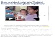 Health - Drug-Resistant Malaria in Thailand Threatens Deadly Global 'Nightmare