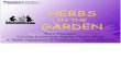 Herbs in Garden