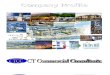2013 - Company Profile - Ctcc