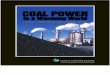 Coal Power in a Warming World
