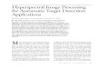 Hyperspectral Image Processing  for Automatic Target Detection  Applications