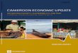 Cameroon Economic Update No.5, January 2013