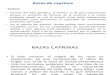 Caprinos Expo